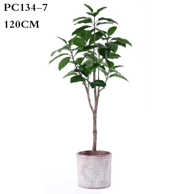 Artificial Ficus Microcarpa